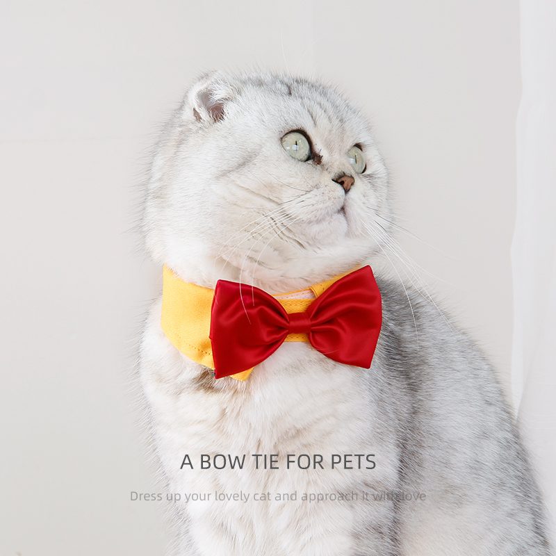 Cat and dog bow ties 1